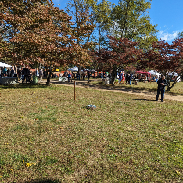PXL_20231015_144921717