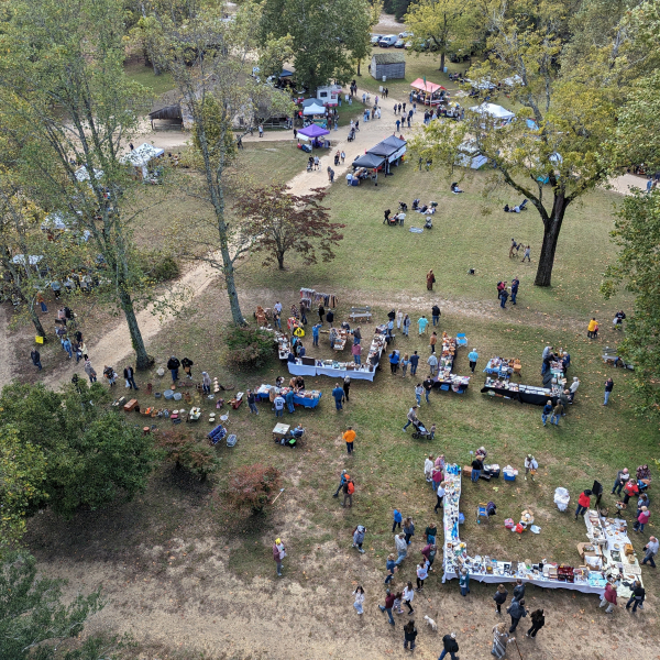 PXL_20231015_155406157