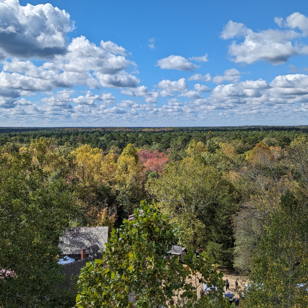 PXL_20231015_155444198
