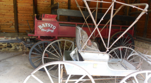 Farm