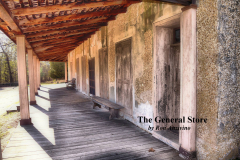 The-General-Store