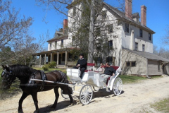 Carriage-2
