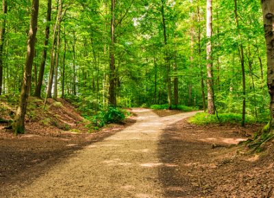 National Trails Day at Wharton State Forest