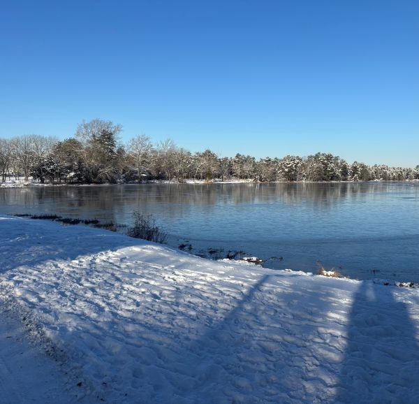 Wharton Monthly – February 2026